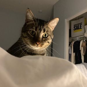 Meet your Posher, Yang